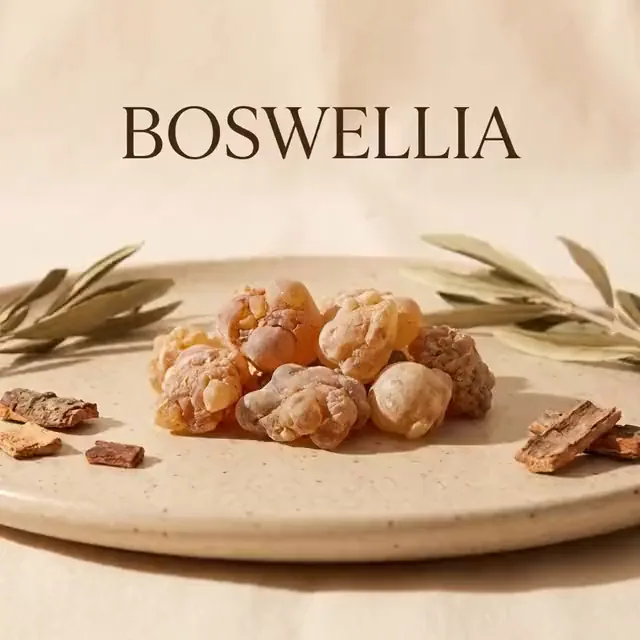Boswellia Resin: Traditional resin, plainly labelled