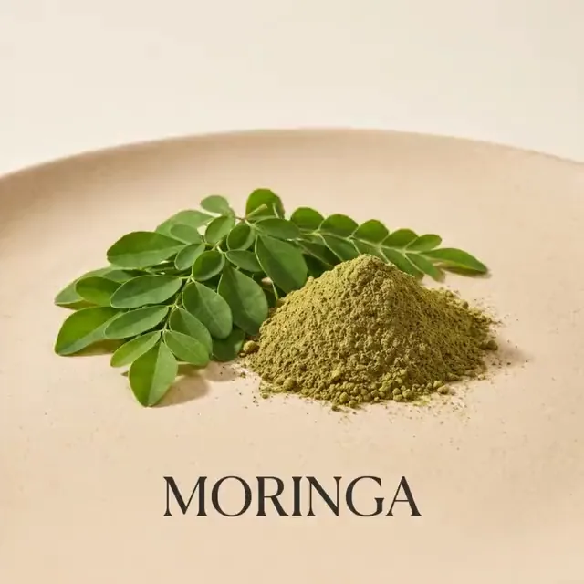 Moringa Powder: Plant-based daily nutrition