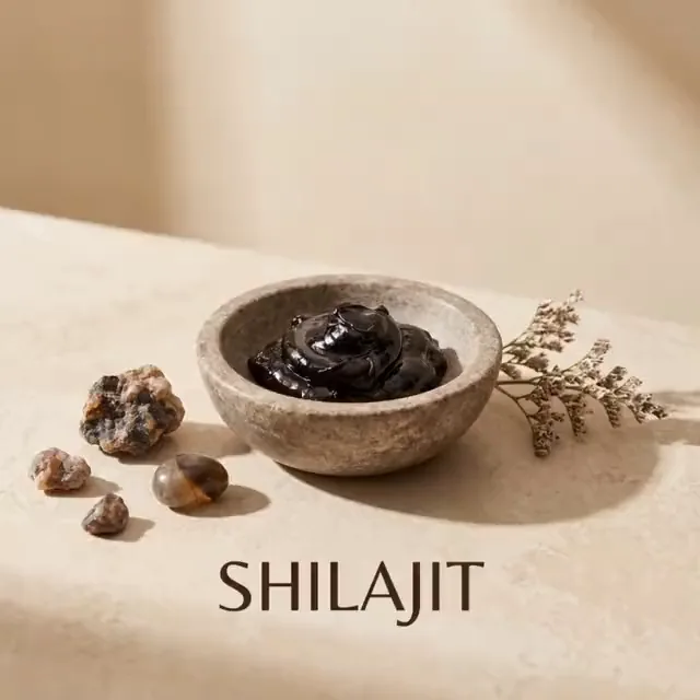 Shilajit Resin: A traditional daily preparation